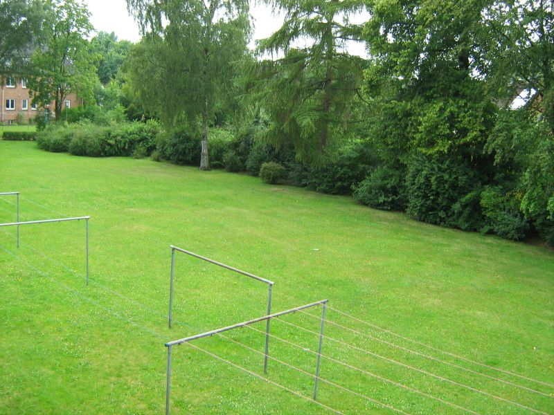 Blick in den Hinterhof Blick in den Hinterhof